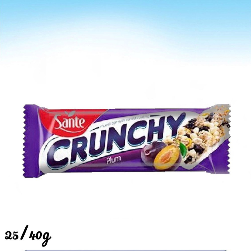 سانتي كرنشي بار بالبرقوق 40 غم